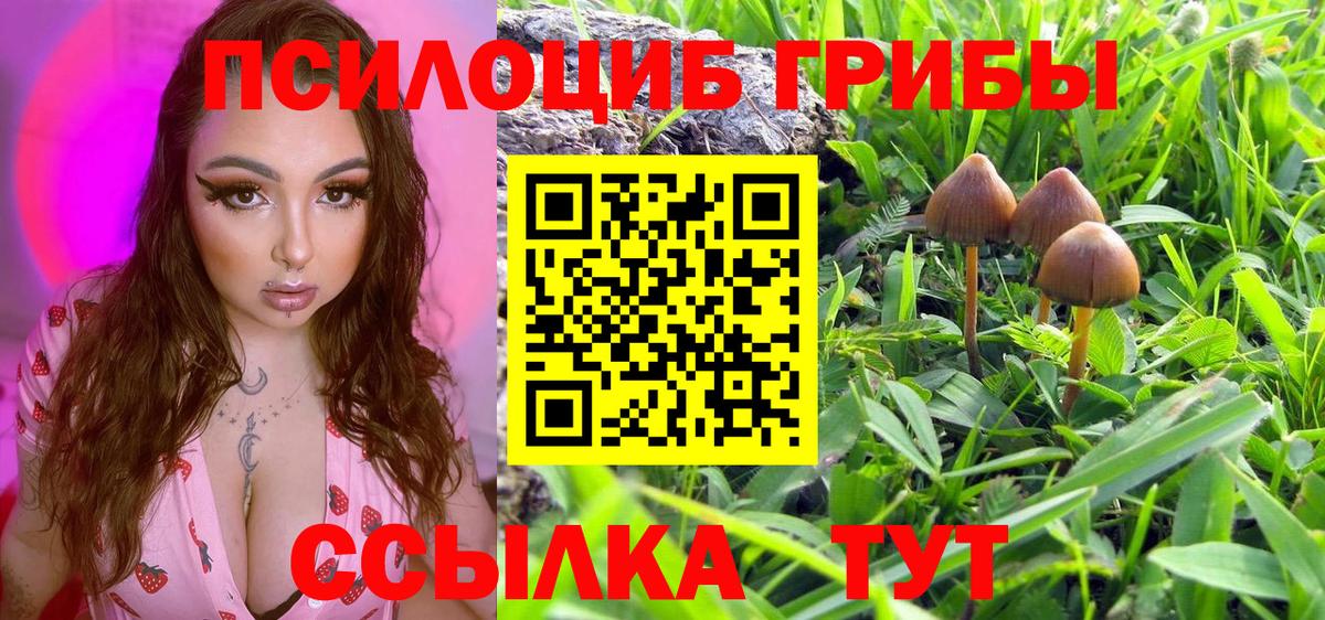 Галлюциногенные грибы прущие грибы Владивосток